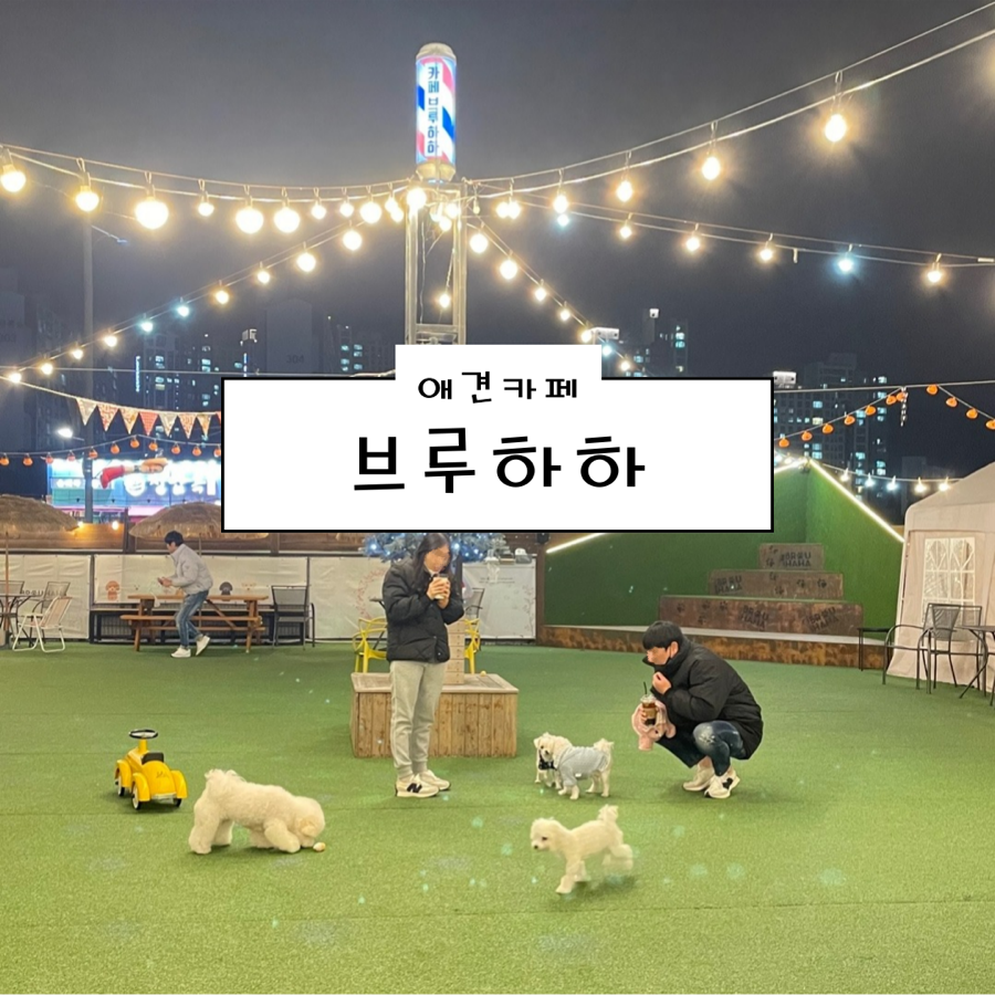 카페브루하하 이미지