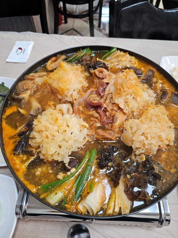 본가오리 이미지