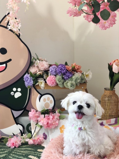 카페글램 이미지