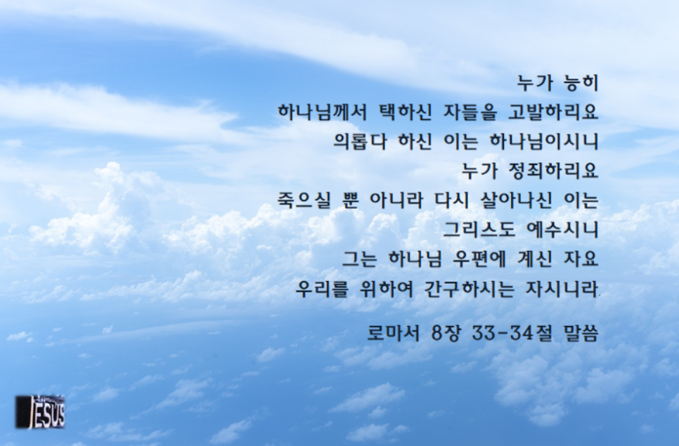 하리요8 이미지