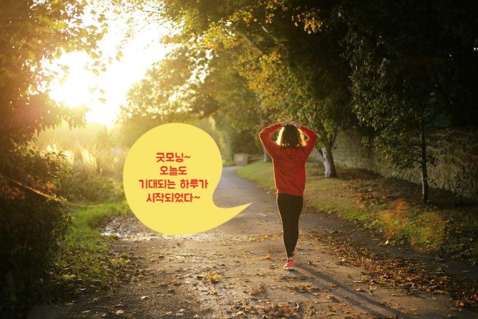 신나는점핑다이어트 이미지