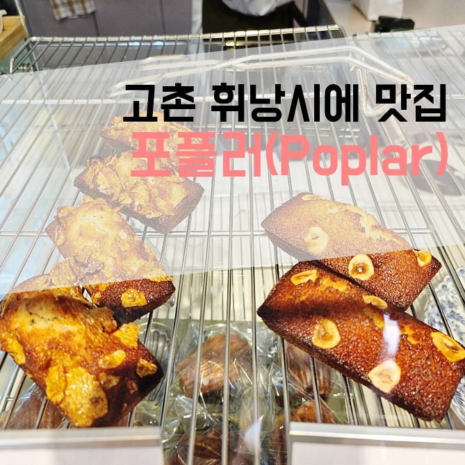 포플러(poplar) 이미지