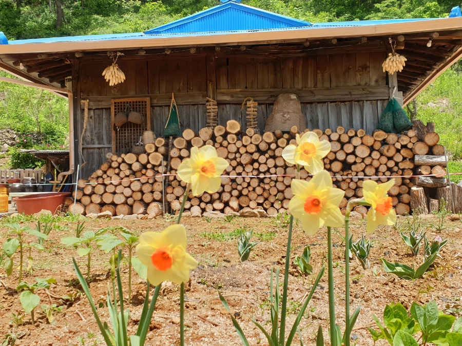 산촌펜션 이미지