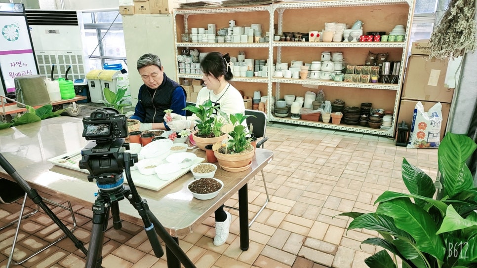 자연in원예센터 이미지