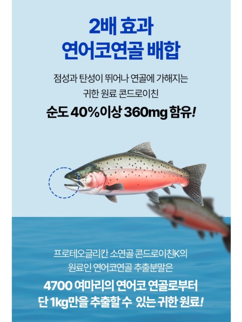 뉴프로셀 이미지
