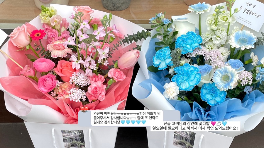 그리니크 이미지