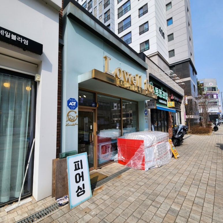 폭스피어싱 이미지