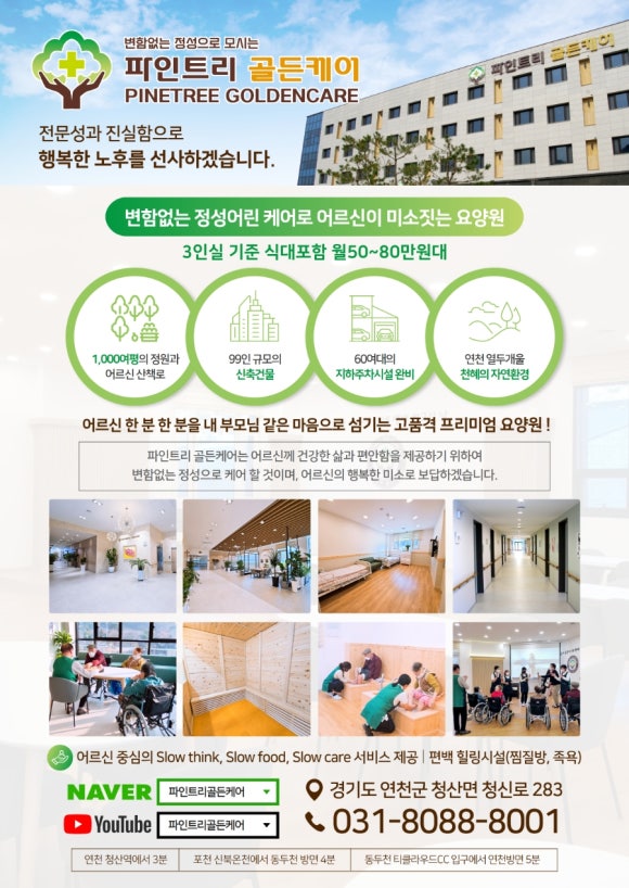 골든파인트리 이미지