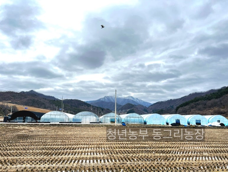 동그리농장 이미지