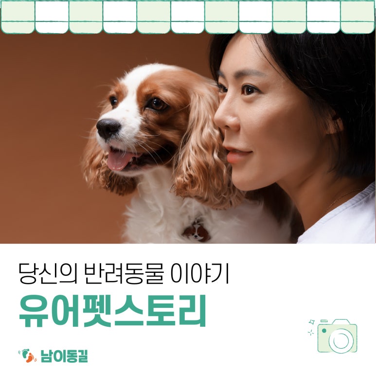 유어펫스토리 이미지