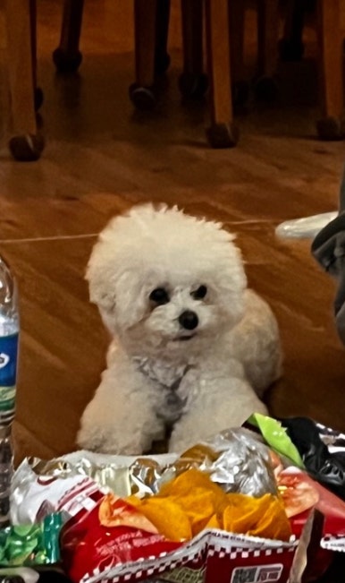 산방댁 이미지