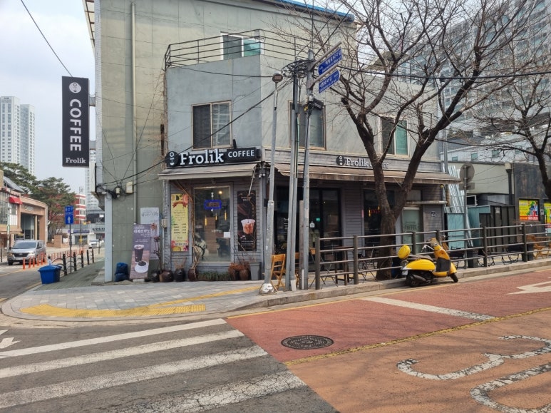프롤릭 이미지