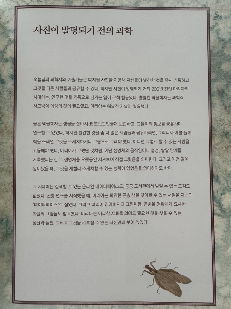 돈버는 애벌레 이미지
