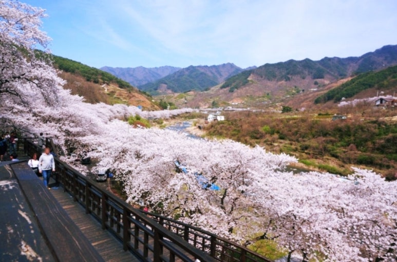 하카전자담배 이미지