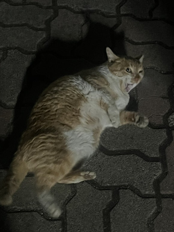 은혜네반찬 이미지