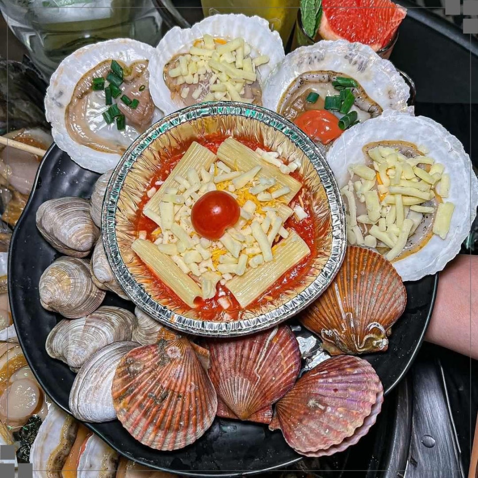 하와이조개 이미지