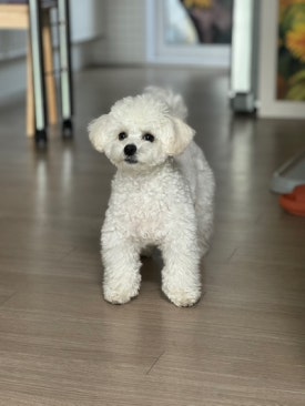 기억미음디귿 이미지