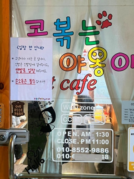 콩볶는야옹이 이미지
