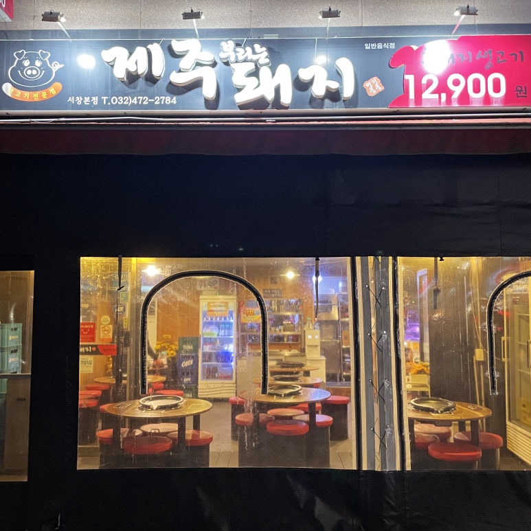 제주부리는돼지 이미지