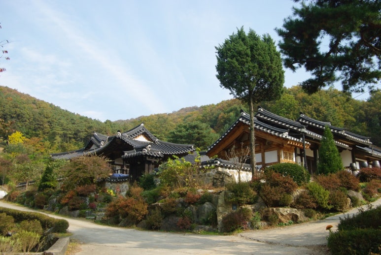 파티수용인 이미지