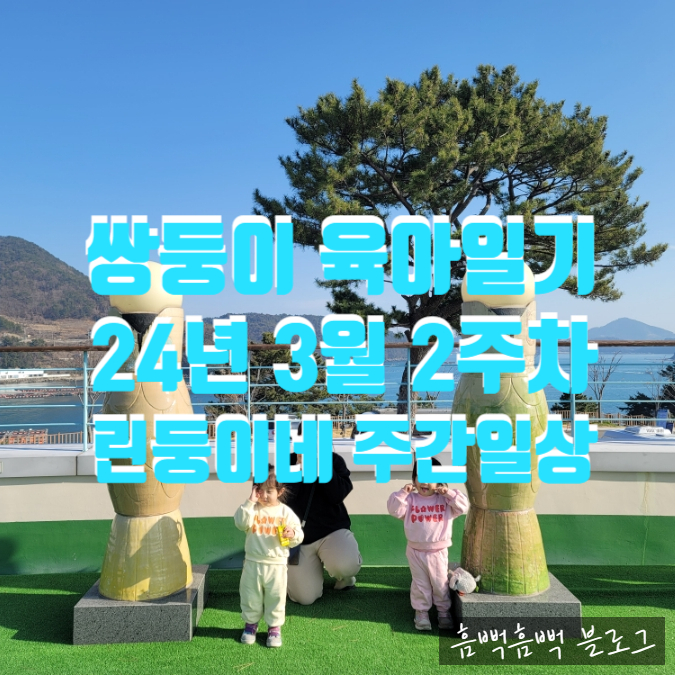 태양커피호프 이미지