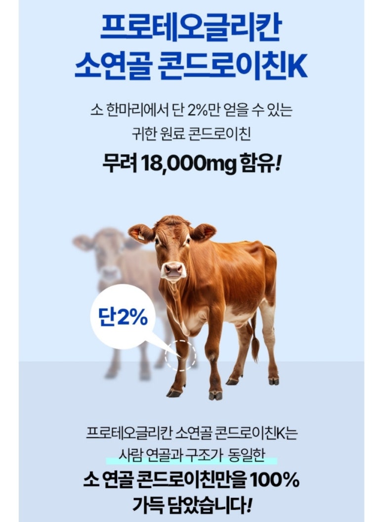 뉴프로셀 이미지