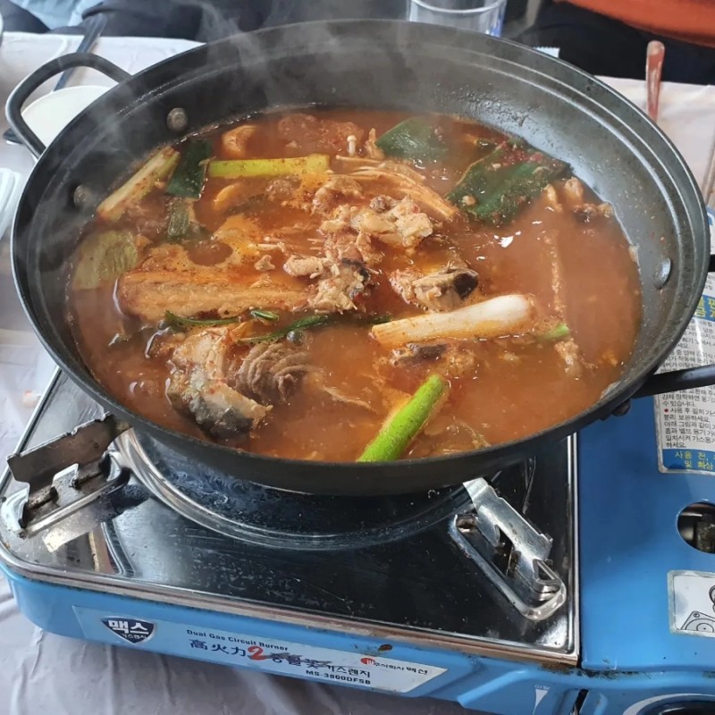 싱싱투어 이미지