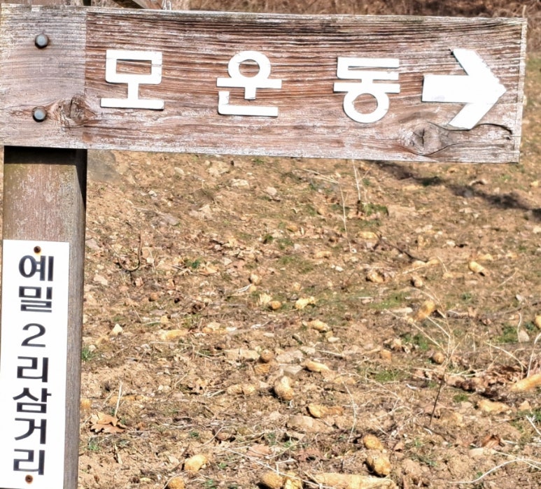 구름품은캠핑장 이미지