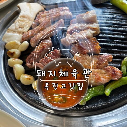 돼지체육관 이미지