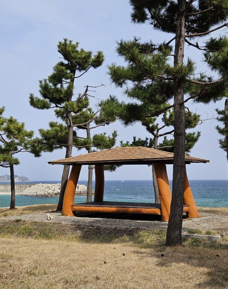 해파랑길펜션민박 이미지