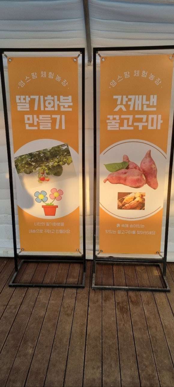 영스팜 이미지