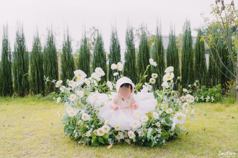 파티수용인 이미지