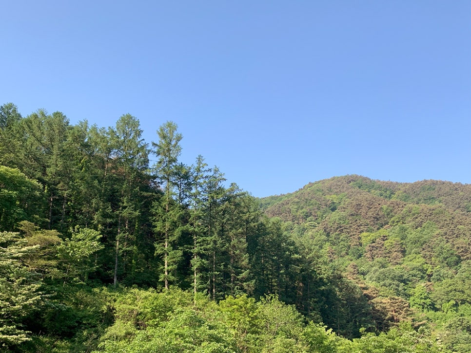 시골반찬 이미지