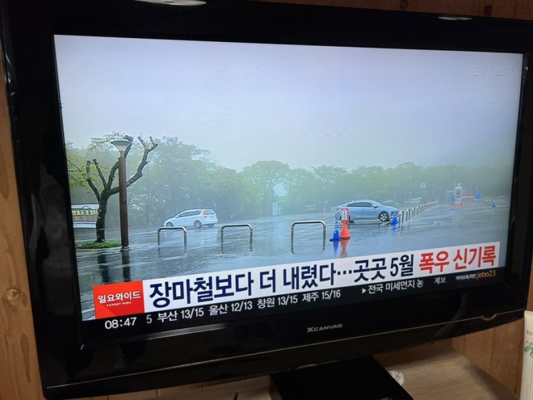 로이카페 이미지