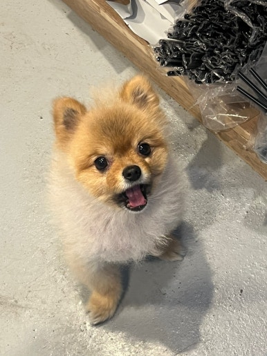 윤스커피 이미지