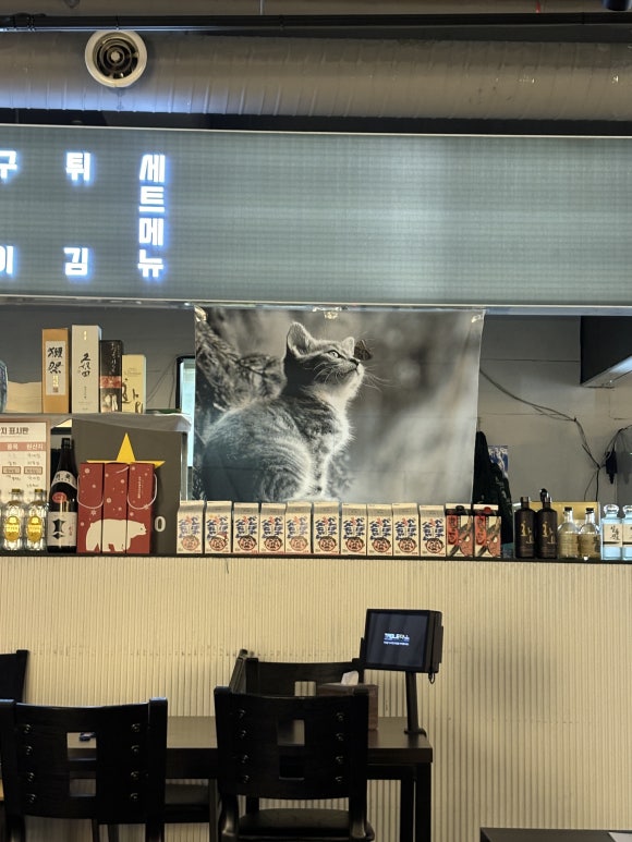 술마실고양 이미지