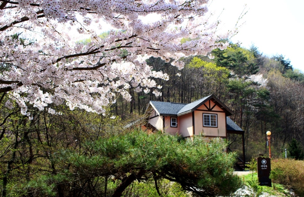 백운산 자연휴양림 야영장 이미지