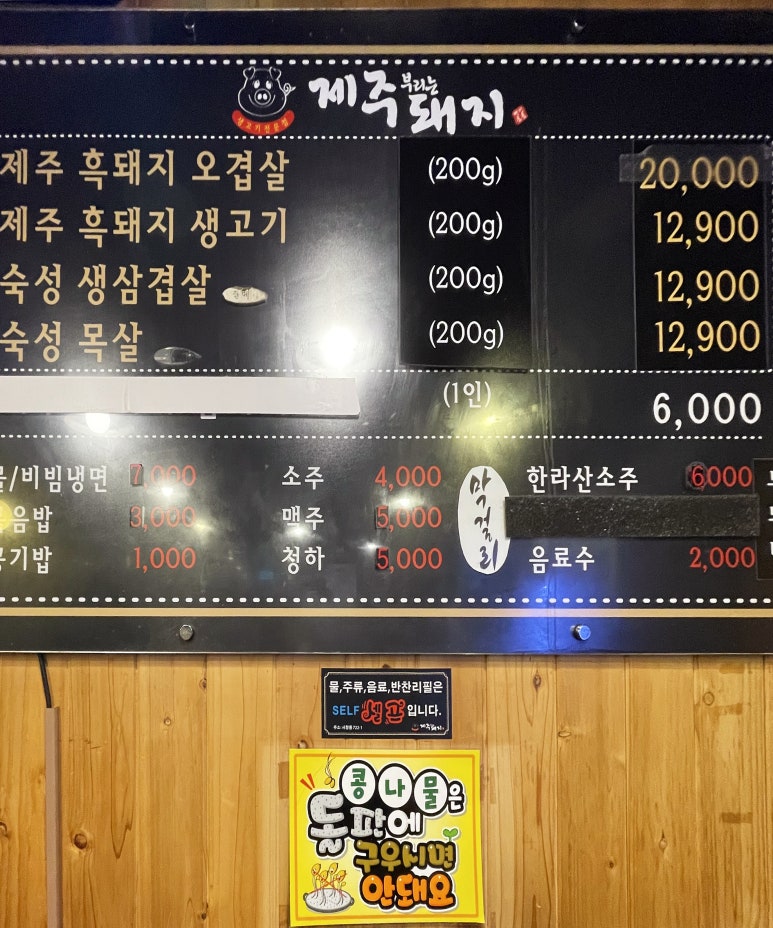 제주부리는돼지 이미지