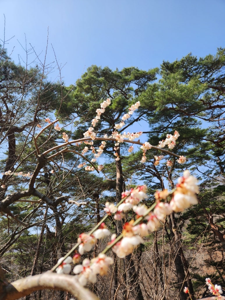 또와또무도학원 이미지