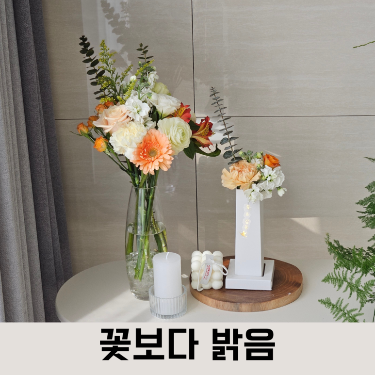 지센대전 이미지