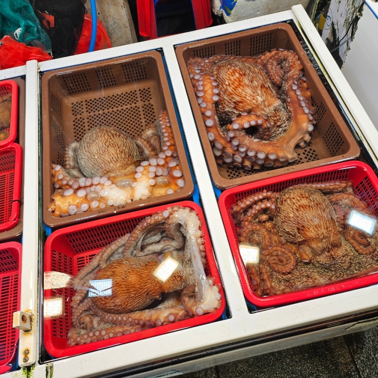 동대구횟집상차림식당 이미지