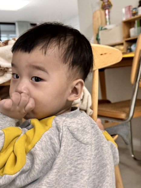 준헤어라인 이미지