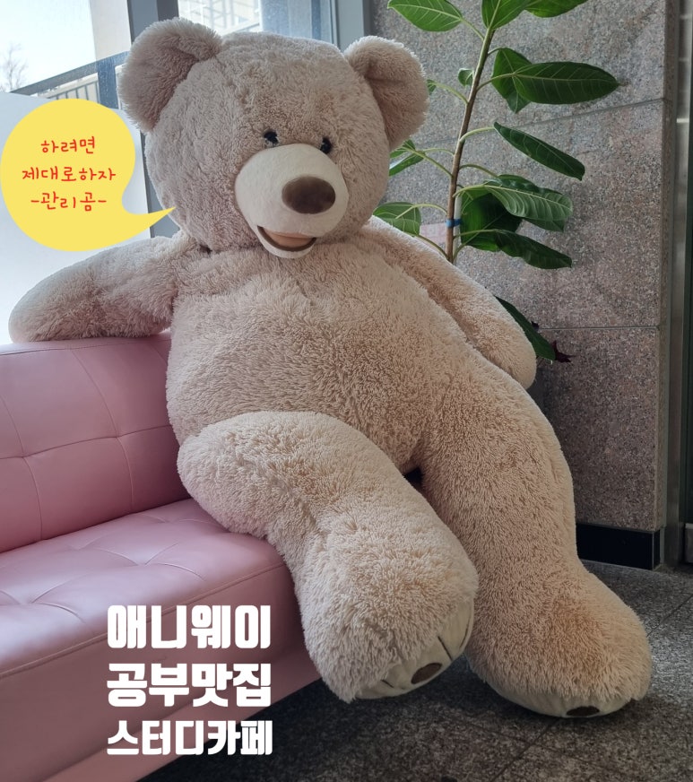 애니웨이스터디카페 이미지