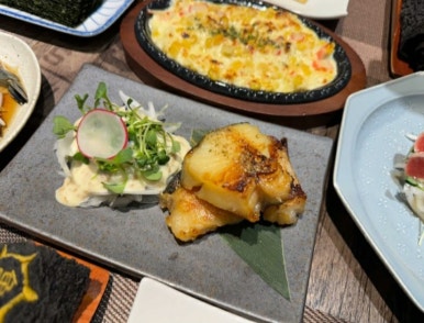 카메참치 이미지