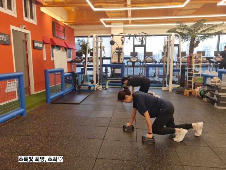 머슬베어짐 이미지