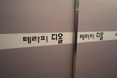 디올테라피 이미지