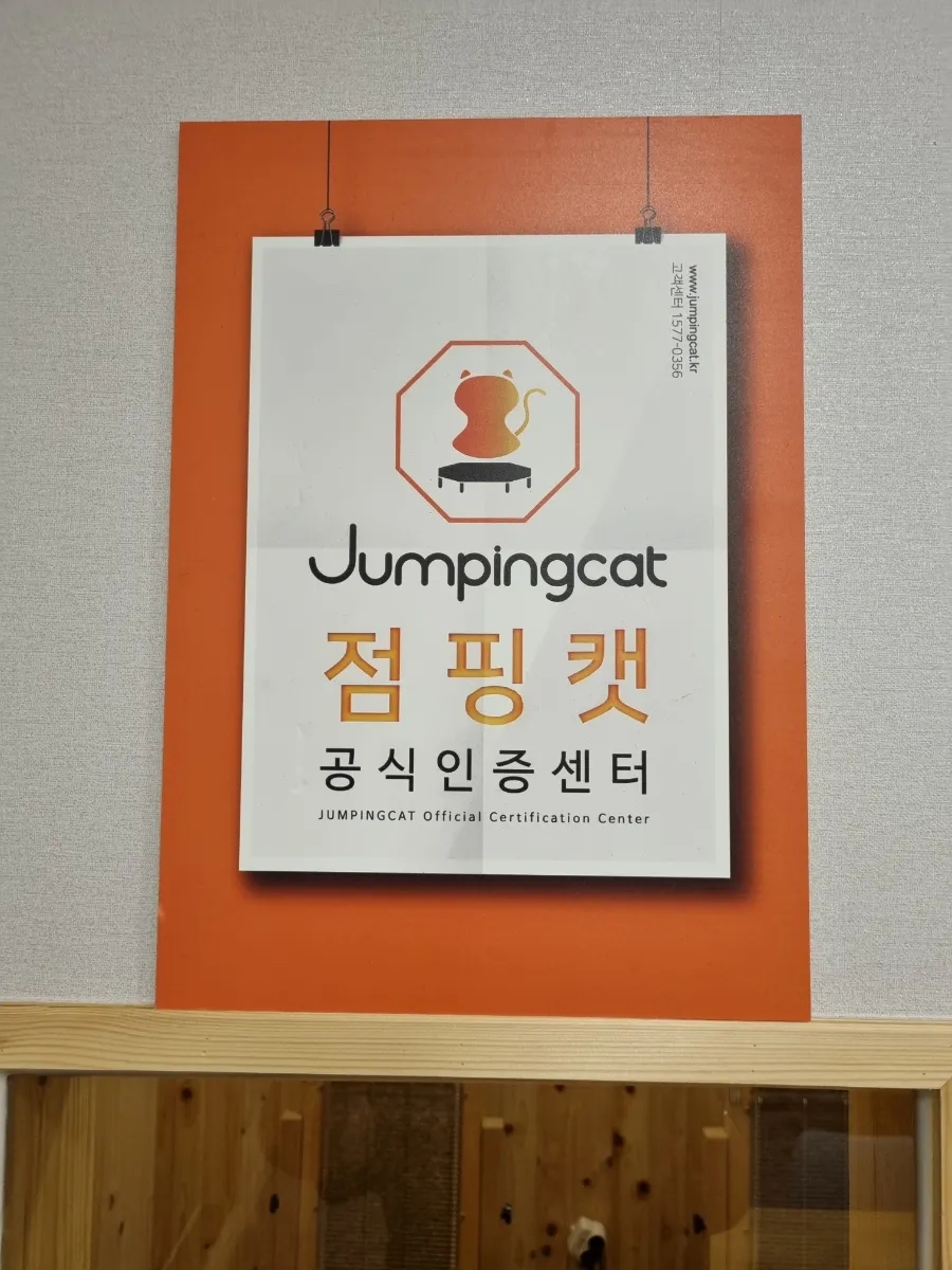 매일점핑 이미지