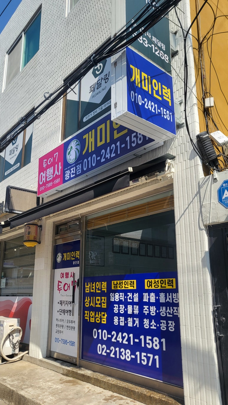 개미파출부 이미지