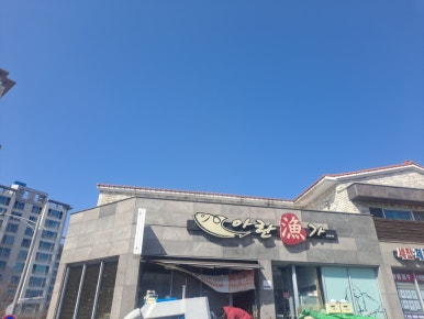 아란어가 이미지