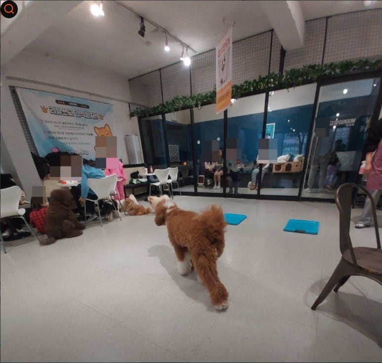 멍브로 이미지